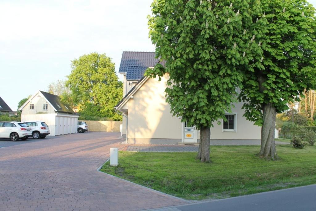 Neue Reihe 28 - Wohnung Vogelnest Ostseeheilbad Ostseeheilbad Zingst Exterior foto